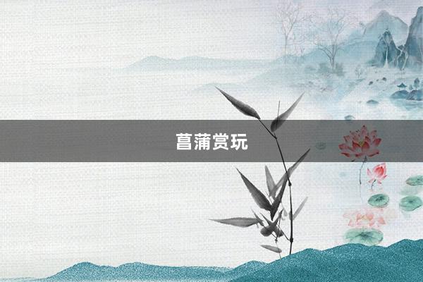 菖蒲赏玩