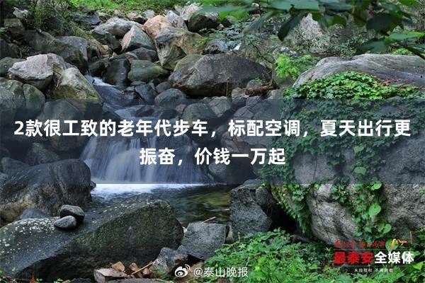 2款很工致的老年代步车，标配空调，夏天出行更振奋，价钱一万起