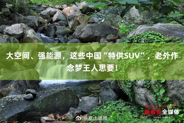 大空间、强能源，这些中国“特供SUV”，老外作念梦王人思要！