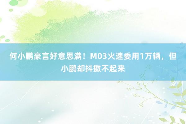 何小鹏豪言好意思满！M03火速委用1万辆，但小鹏却抖擞不起来