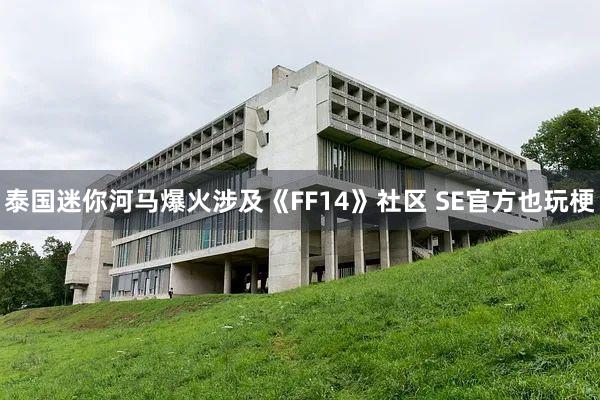 泰国迷你河马爆火涉及《FF14》社区 SE官方也玩梗