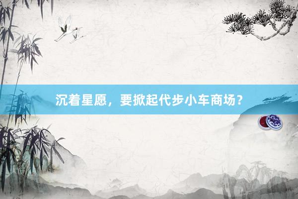 沉着星愿，要掀起代步小车商场？