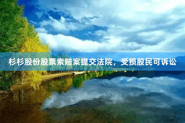 杉杉股份股票索赔案提交法院，受损股民可诉讼