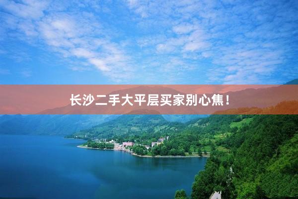 长沙二手大平层买家别心焦!