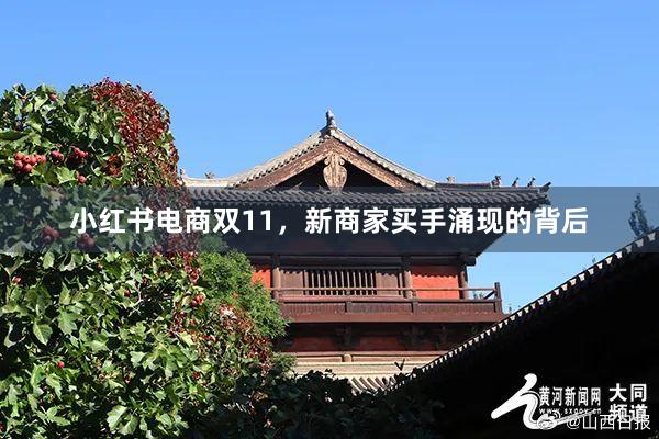 小红书电商双11，新商家买手涌现的背后