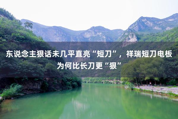 东说念主狠话未几平直亮“短刀”，祥瑞短刀电板为何比长刀更“狠”