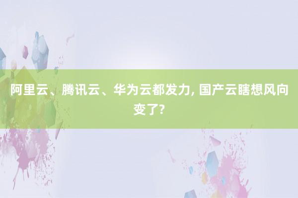 阿里云、腾讯云、华为云都发力, 国产云瞎想风向变了?
