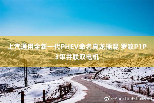 上汽通用全新一代PHEV命名真龙插混 罗致P1P3串并联双电机
